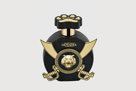 DEFENDER POUR HOMME